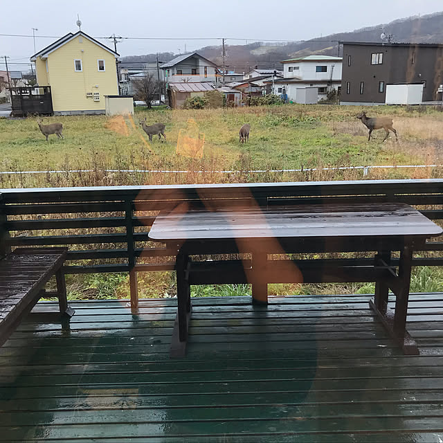 Chihiroさんの実例写真