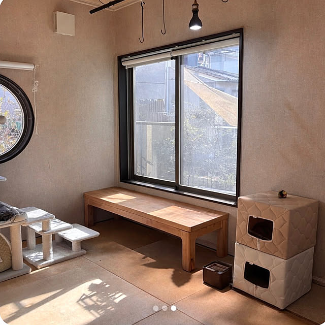 greycatsさんの部屋