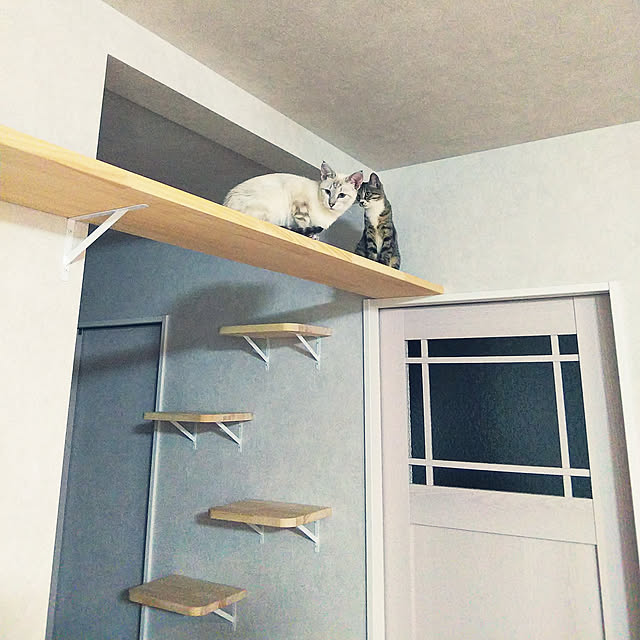 moonさんの実例写真