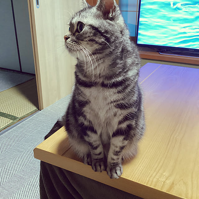 richanさんの部屋