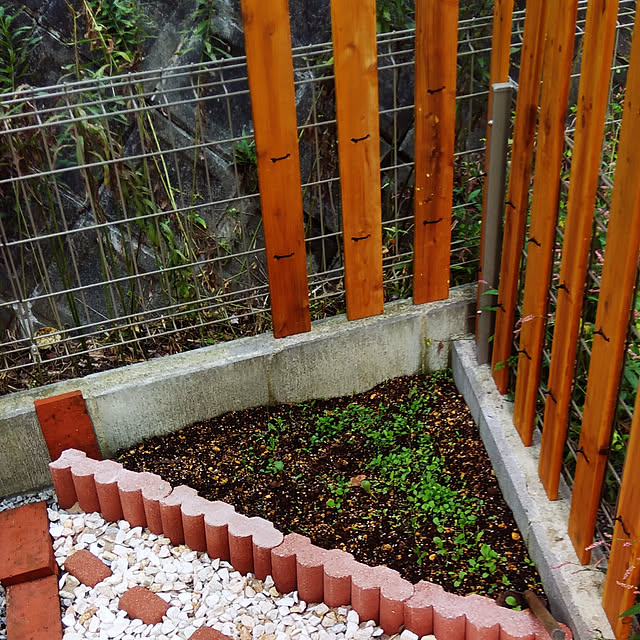 kazuさんの実例写真