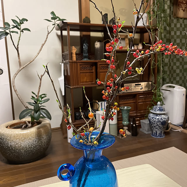shin0719さんの実例写真