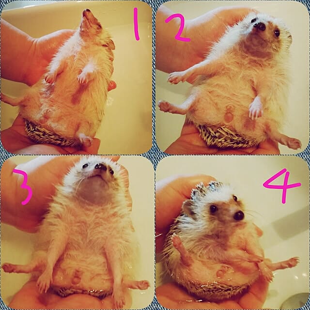 kuruさんの実例写真
