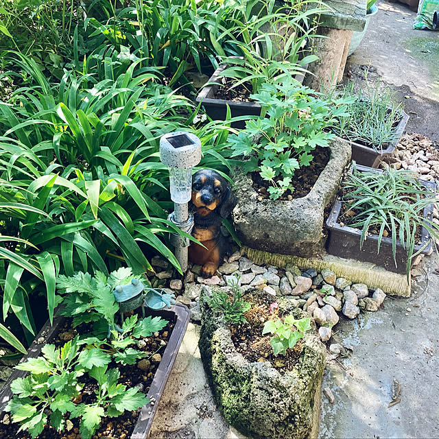 CoCo0617さんの実例写真