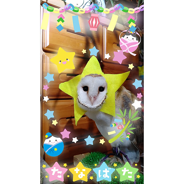 mikiさんの実例写真