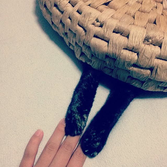 Ryoさんの実例写真