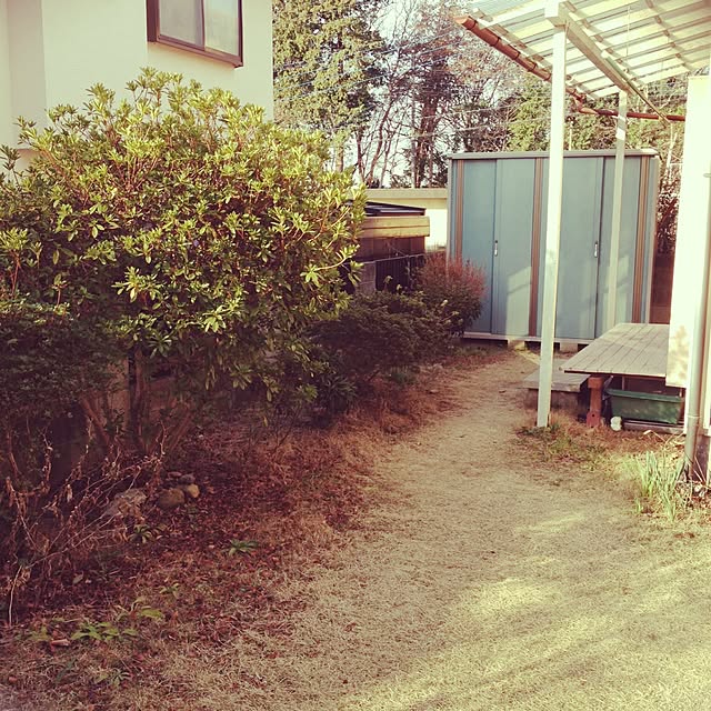 omoideinmy45さんの実例写真