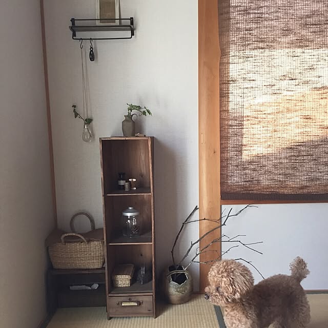 rookuさんの実例写真