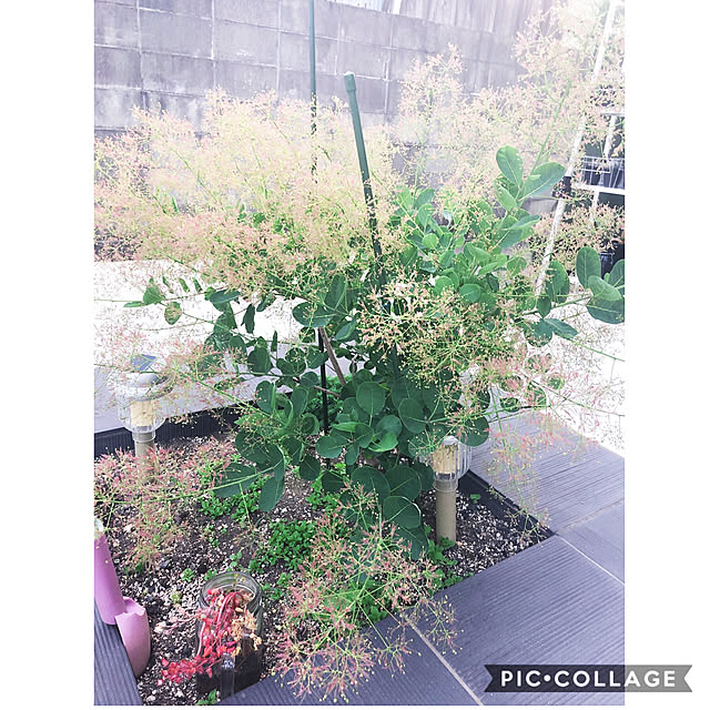 craneさんの実例写真