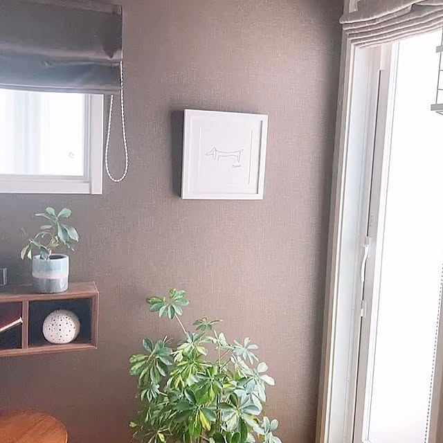 aotoshiro09さんの実例写真