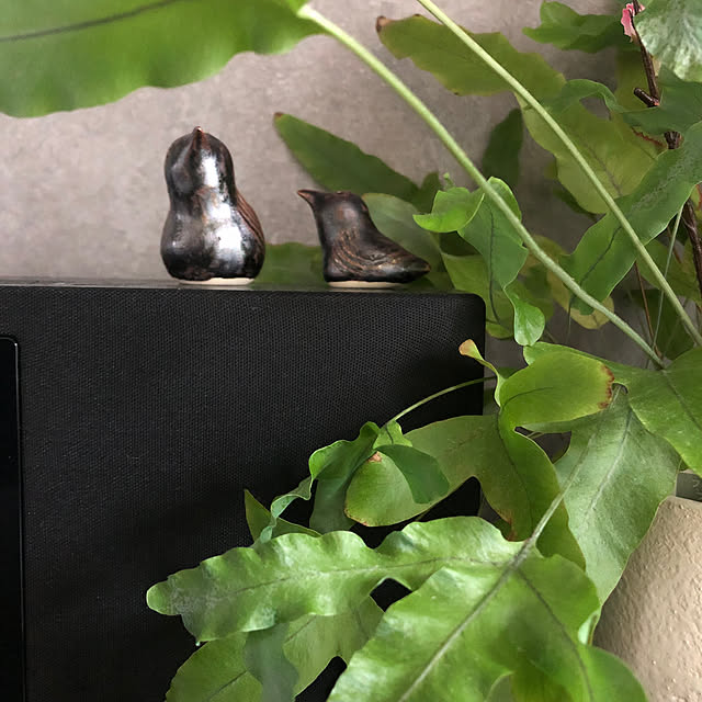 Rororiさんの部屋