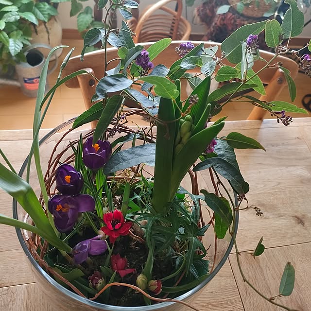 Yoko622さんの実例写真