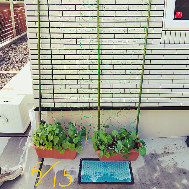 実例写真