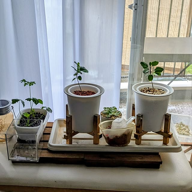 mi-saさんの部屋