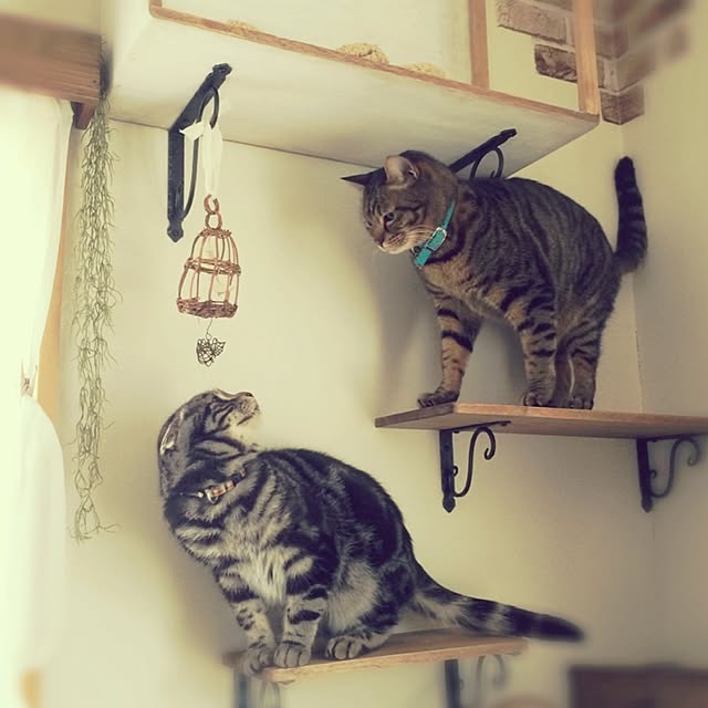 REINA612WORKSさんの実例写真