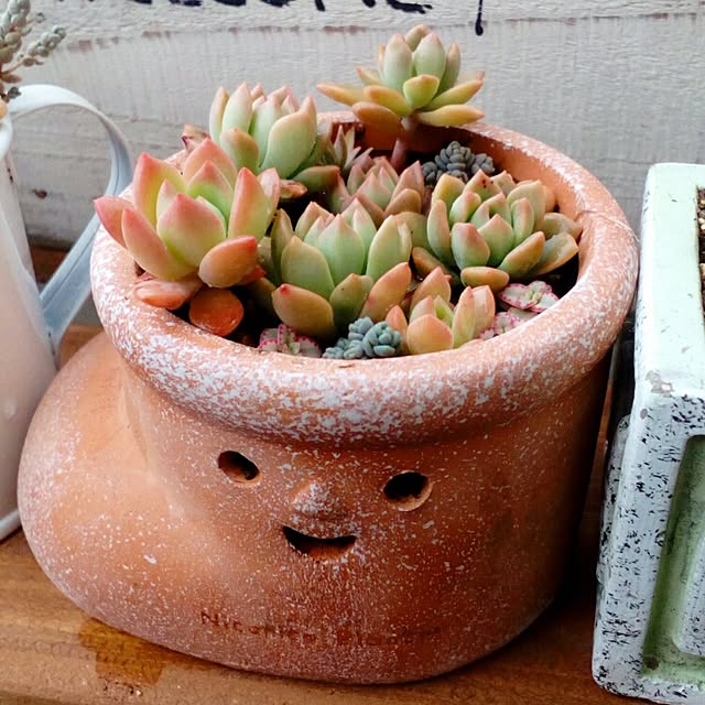 VERANDARJUNさんの実例写真