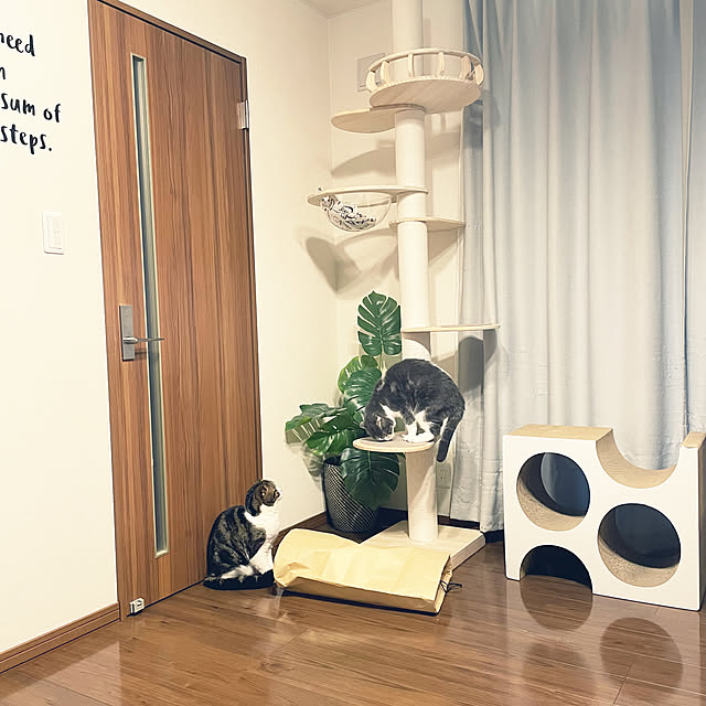 tansukeさんの部屋