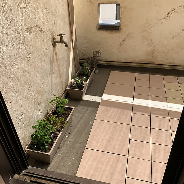 tabasaさんの実例写真