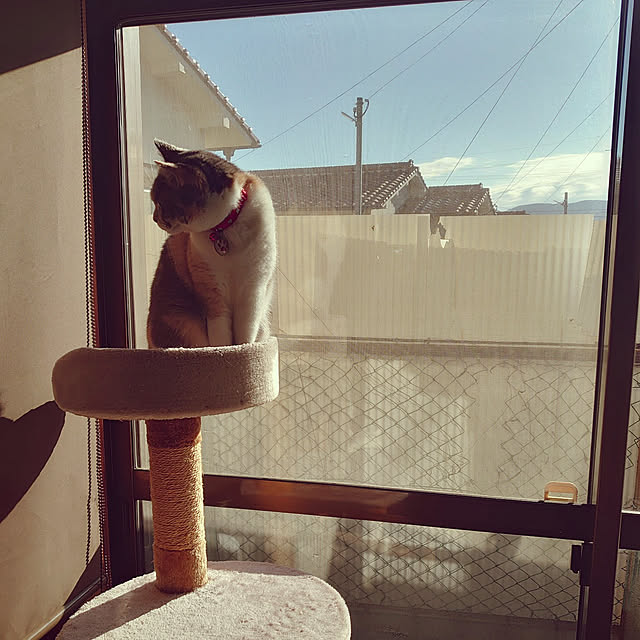 fukuさんの実例写真