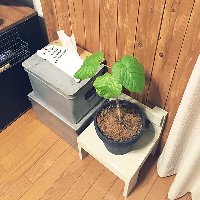 miii777さんの実例写真