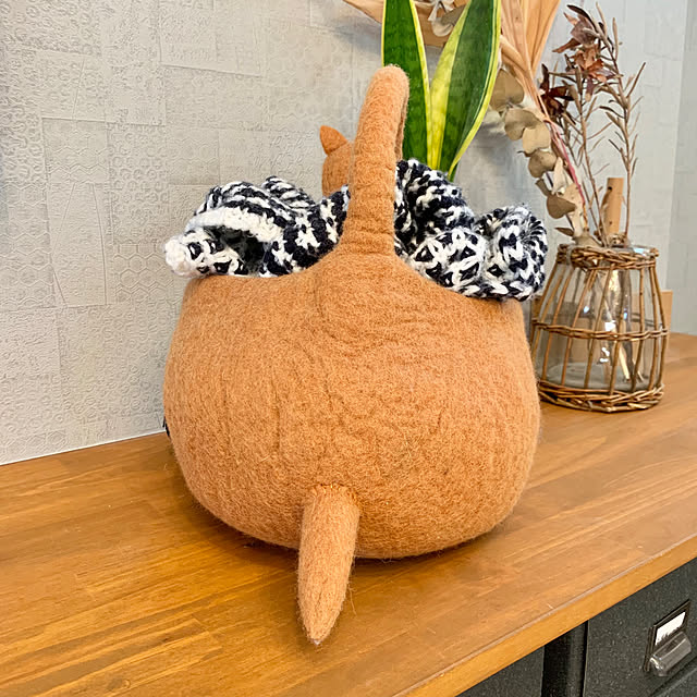 Minteaさんの部屋