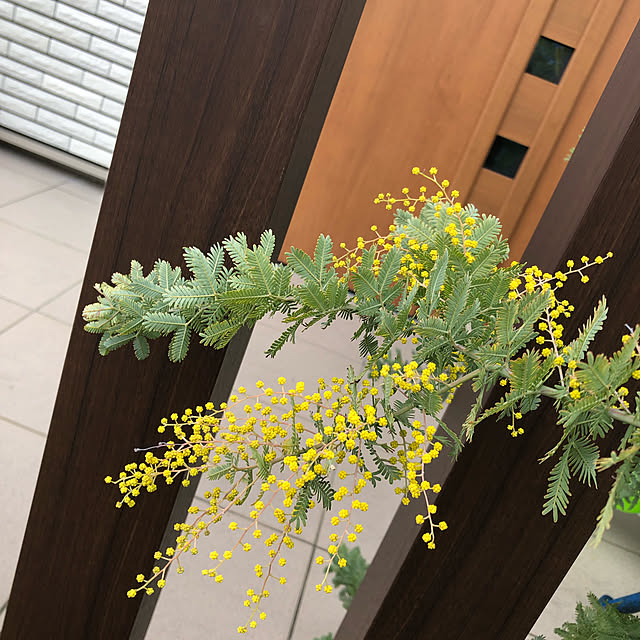 nakariさんの実例写真