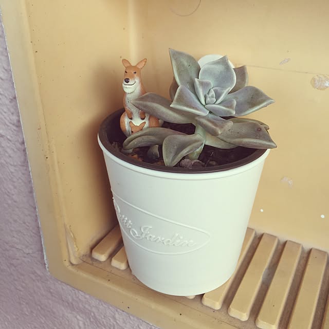 minoさんの実例写真