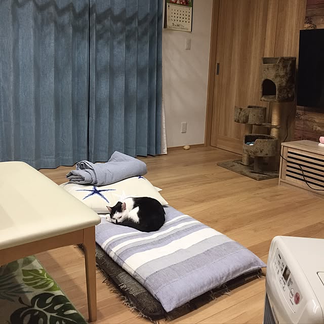 7himekoさんの実例写真