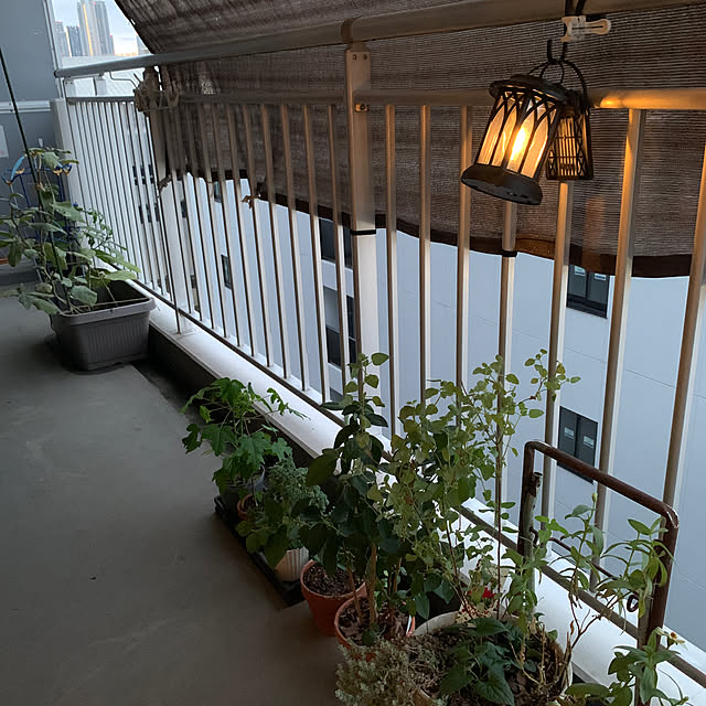 maimさんの実例写真