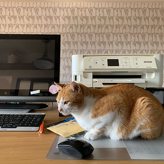 73さんの実例写真