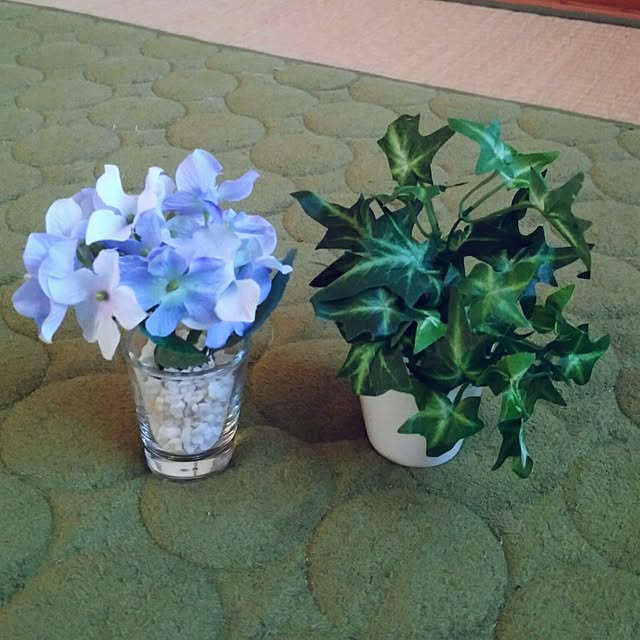 sacchiさんの実例写真