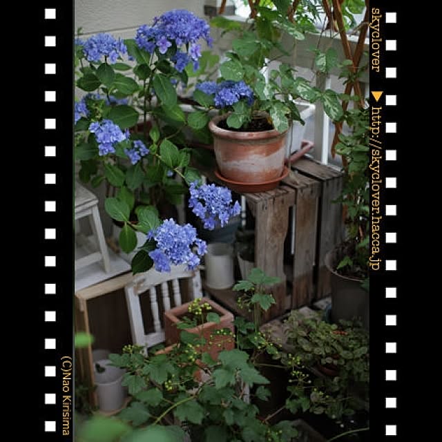 naokirisimaさんの実例写真