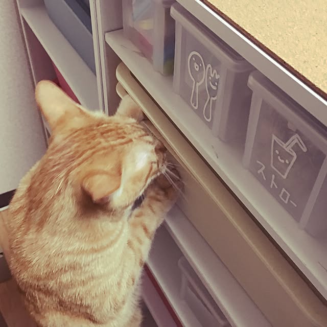 kotetuさんの実例写真
