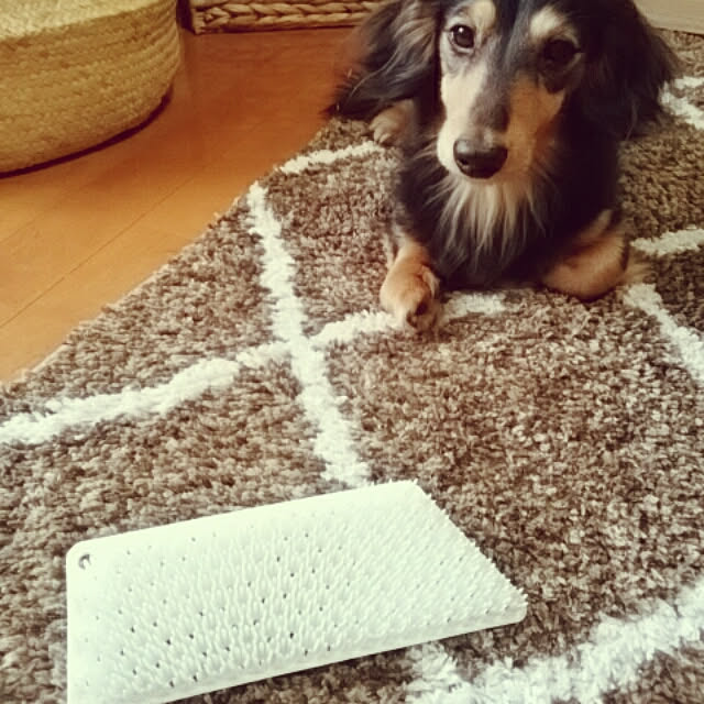 reonさんの実例写真