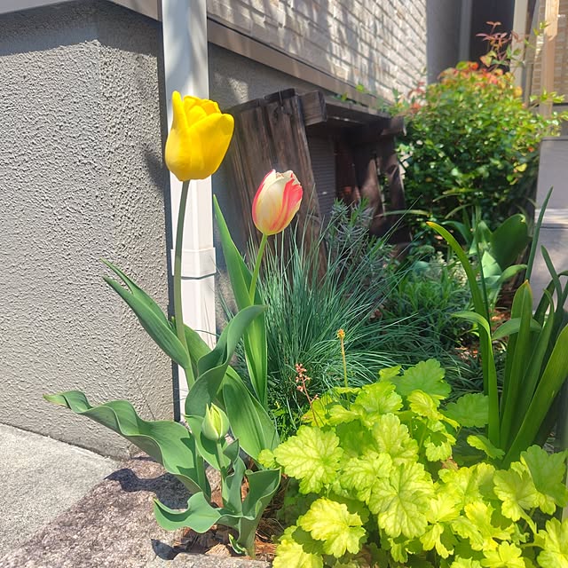 Jijiさんの実例写真