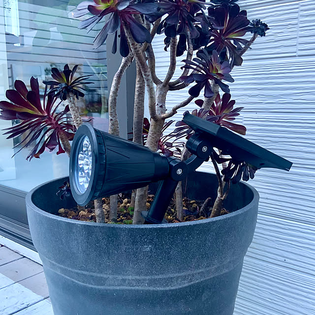 kuruさんの部屋