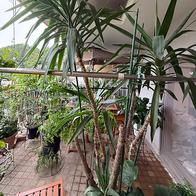 Aqettyさんの部屋