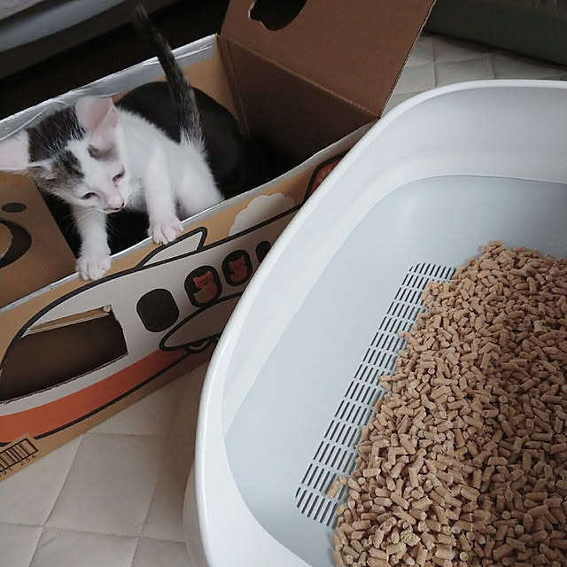 kumiさんの実例写真