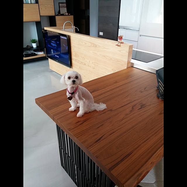 実例写真