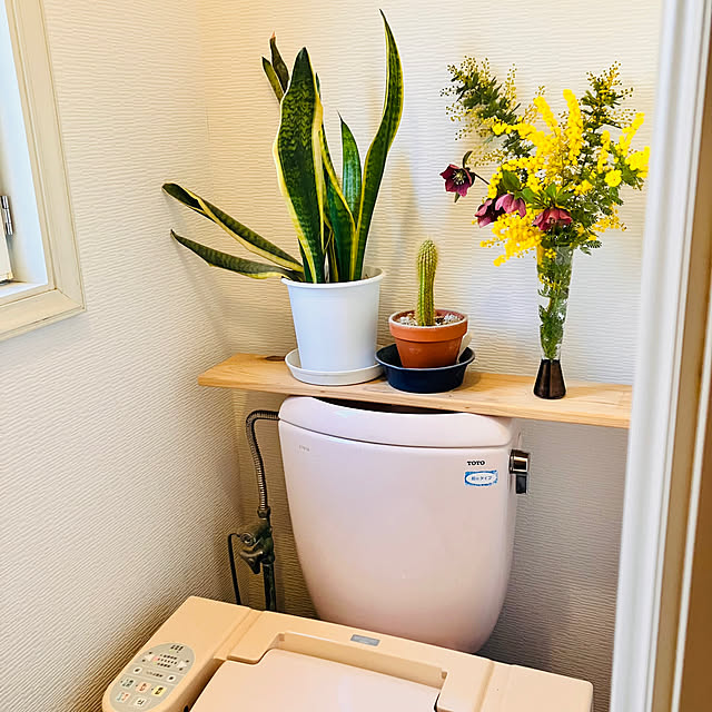 tomorinさんの実例写真