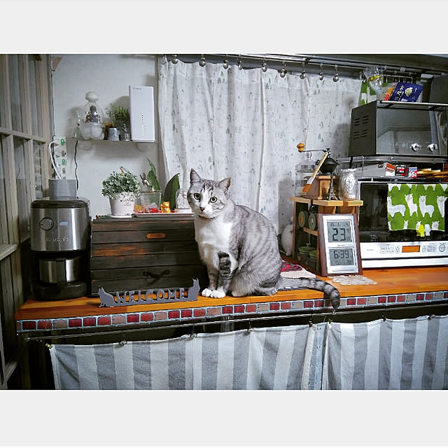 mntcさんの実例写真
