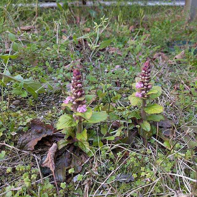 Ruii25さんの部屋