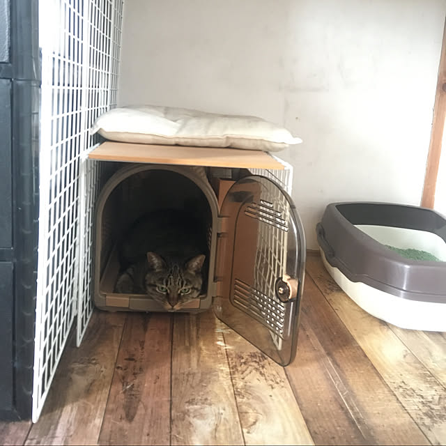 KINGさんの実例写真
