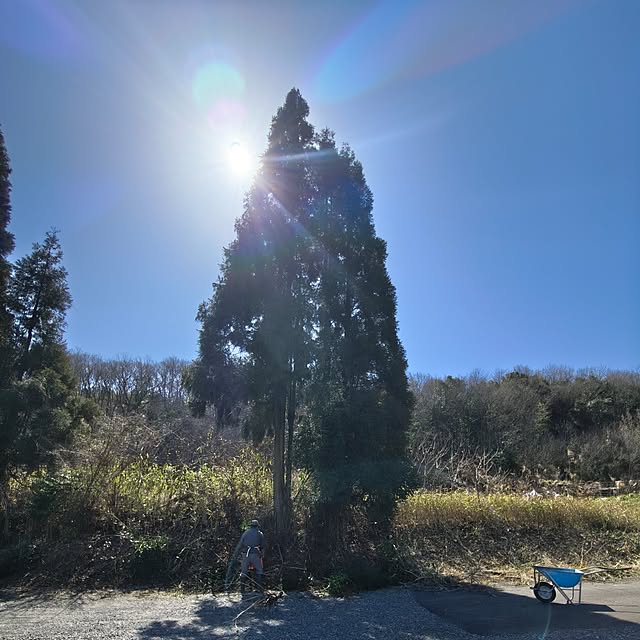 Rubiconさんの実例写真