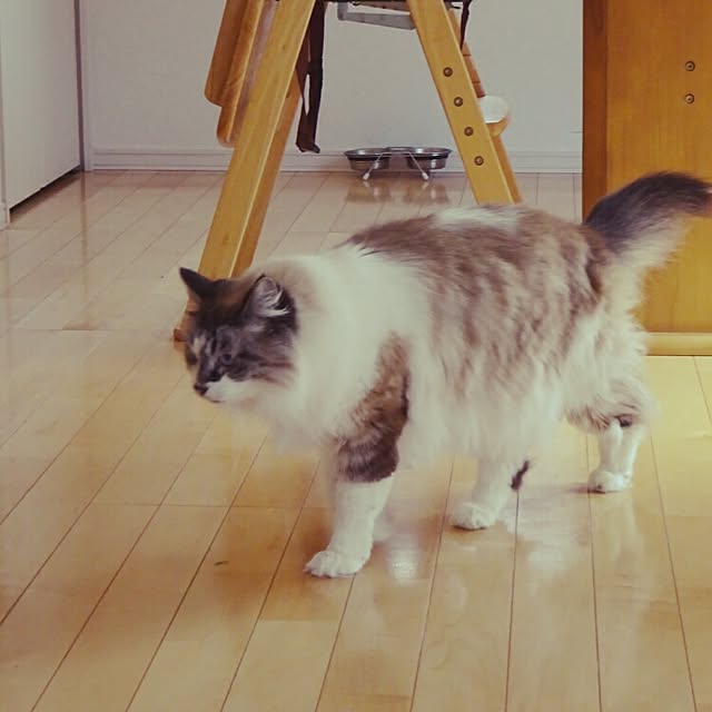 123sgnbさんの実例写真