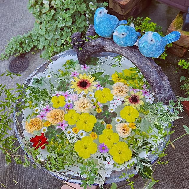 mocomocoさんの実例写真