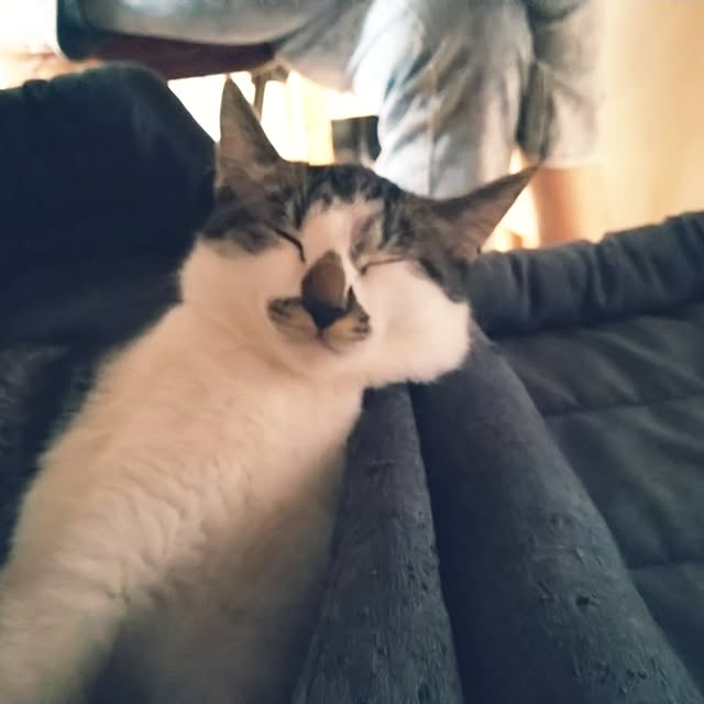 mikisunさんの部屋