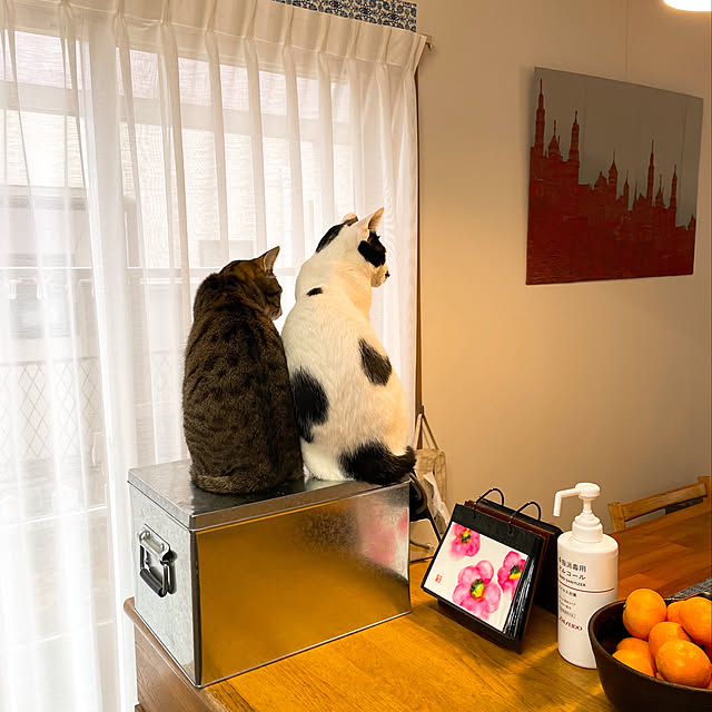 nobikoさんの実例写真