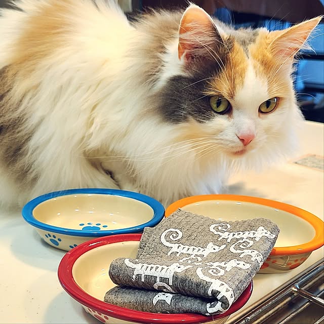 akiko6193さんの部屋