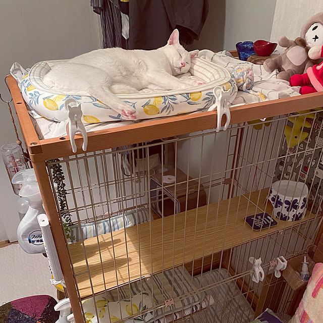 hanaさんの実例写真